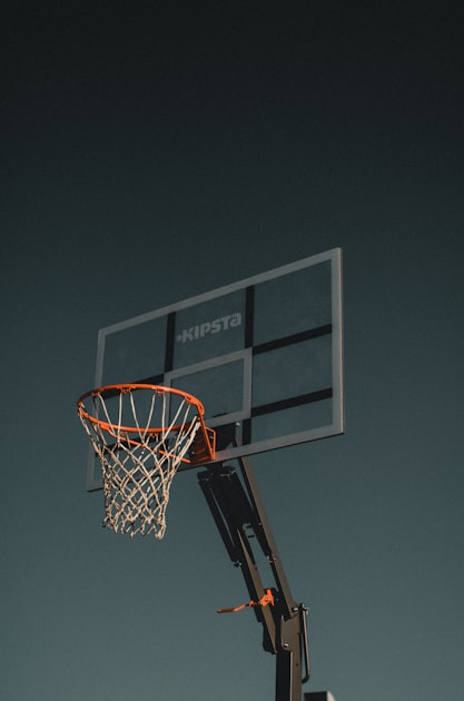Memorable Players in Alberta Basketball History